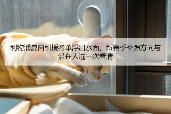 利物浦夏窗引援名单浮出水面，新赛季补强方向与潜在人选一次看清