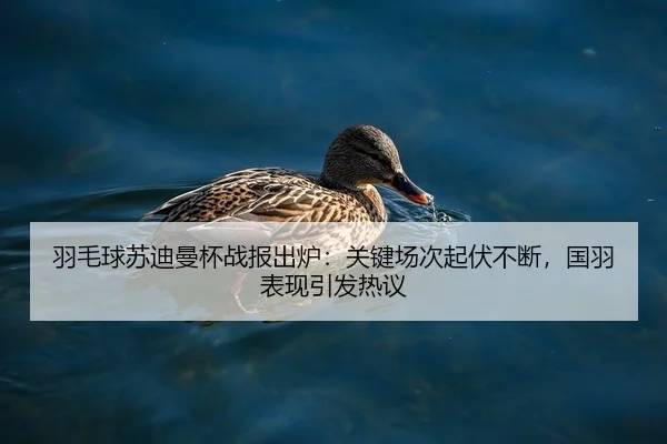 羽毛球苏迪曼杯战报出炉:关键场次起伏不断,国羽表现引发热议